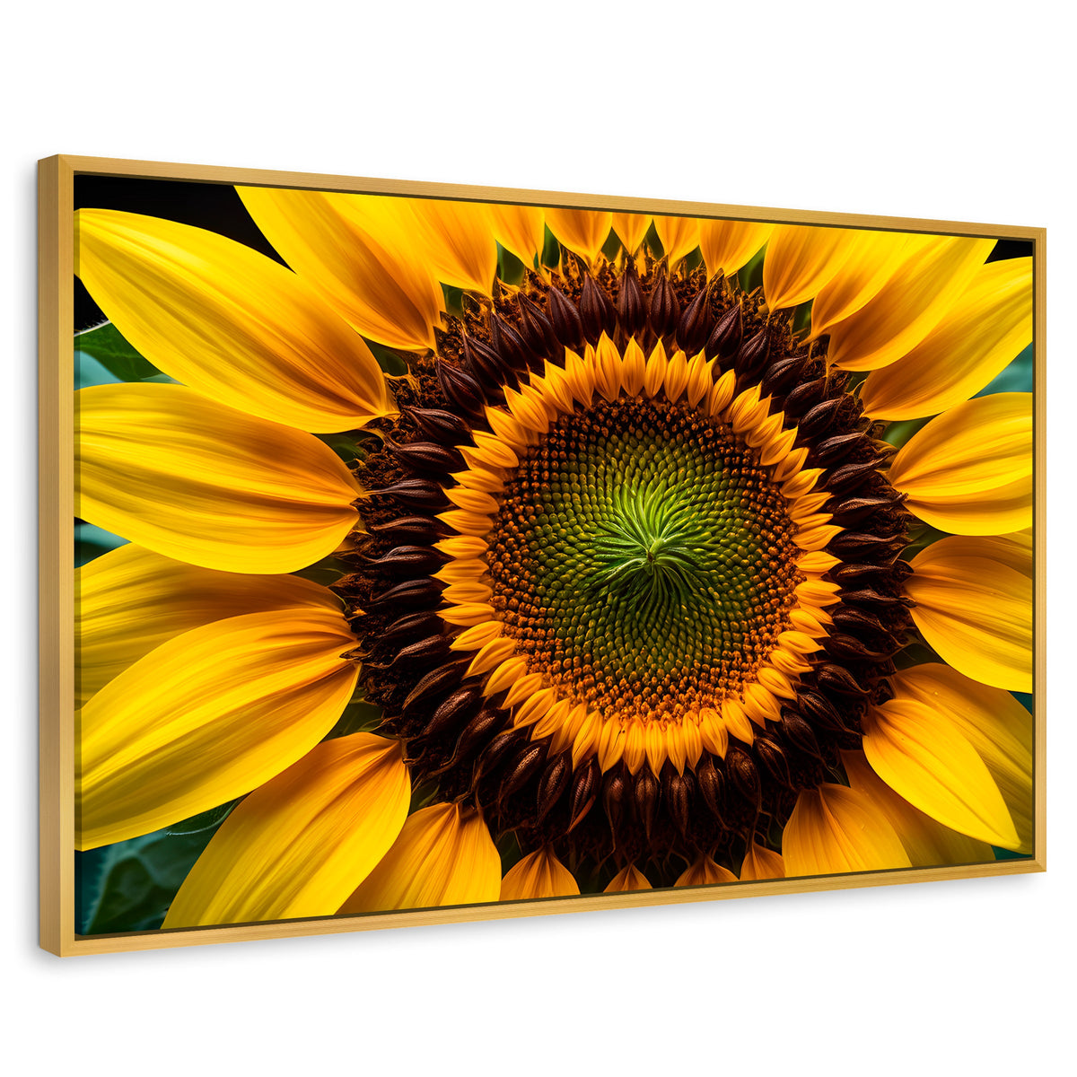 Cuadros Decorativos Canvas Revolution | Girasol Cercano | Rectangular | Portada | Marco Dorado