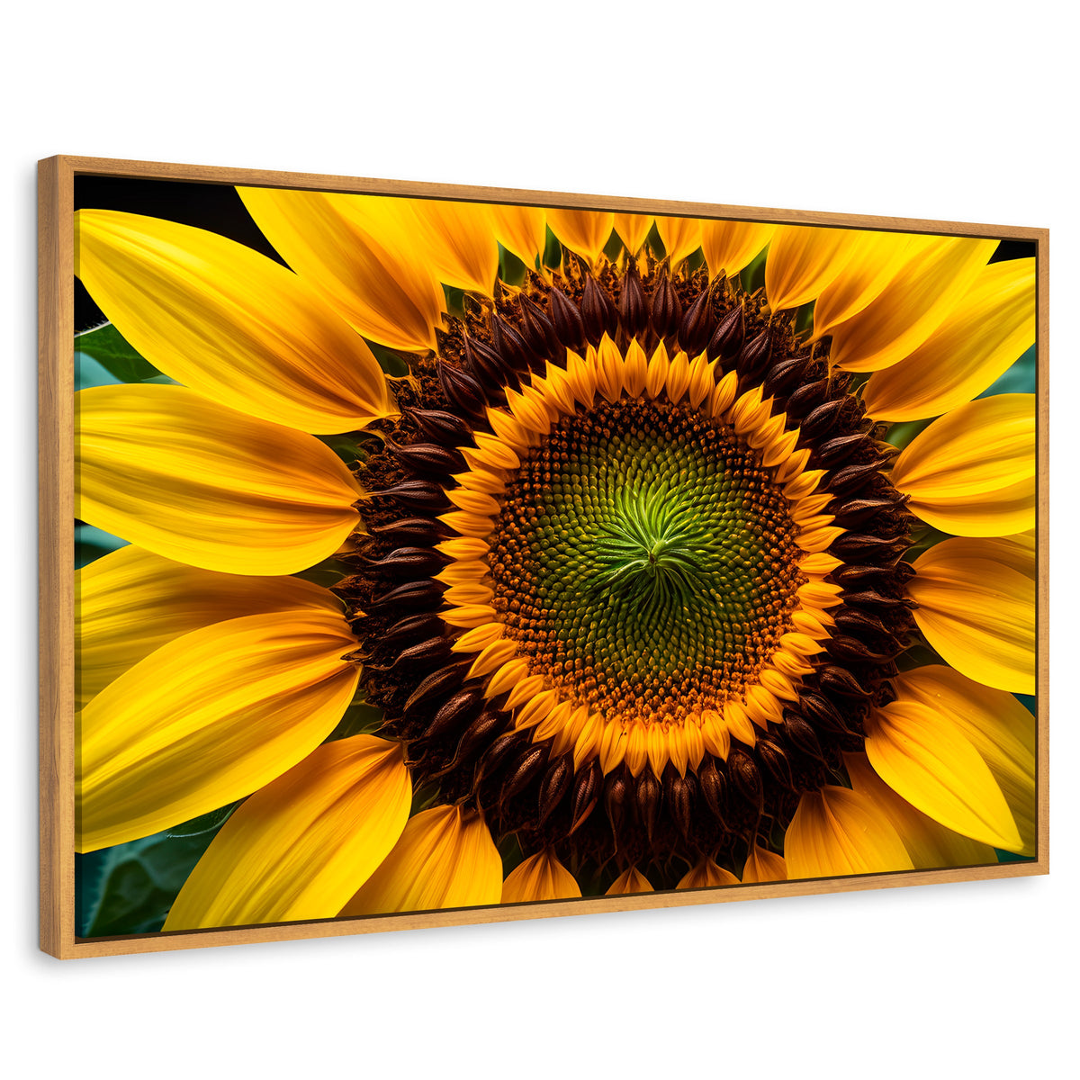 Cuadros Decorativos Canvas Revolution | Girasol Cercano | Rectangular | Portada | Marco Madera