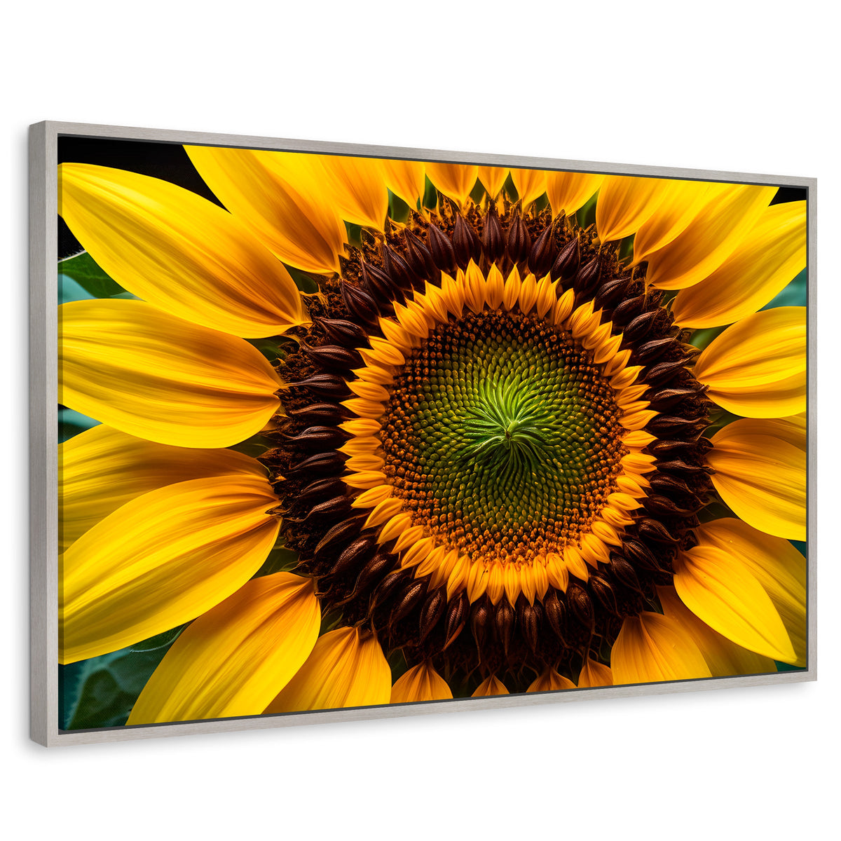 Cuadros Decorativos Canvas Revolution | Girasol Cercano | Rectangular | Portada | Marco Plateado