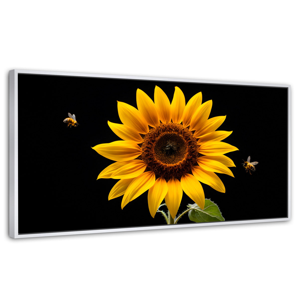 Cuadros Decorativos Canvas Revolution | Girasol En Vuelo | Panoramico | Portada | Marco Blanco