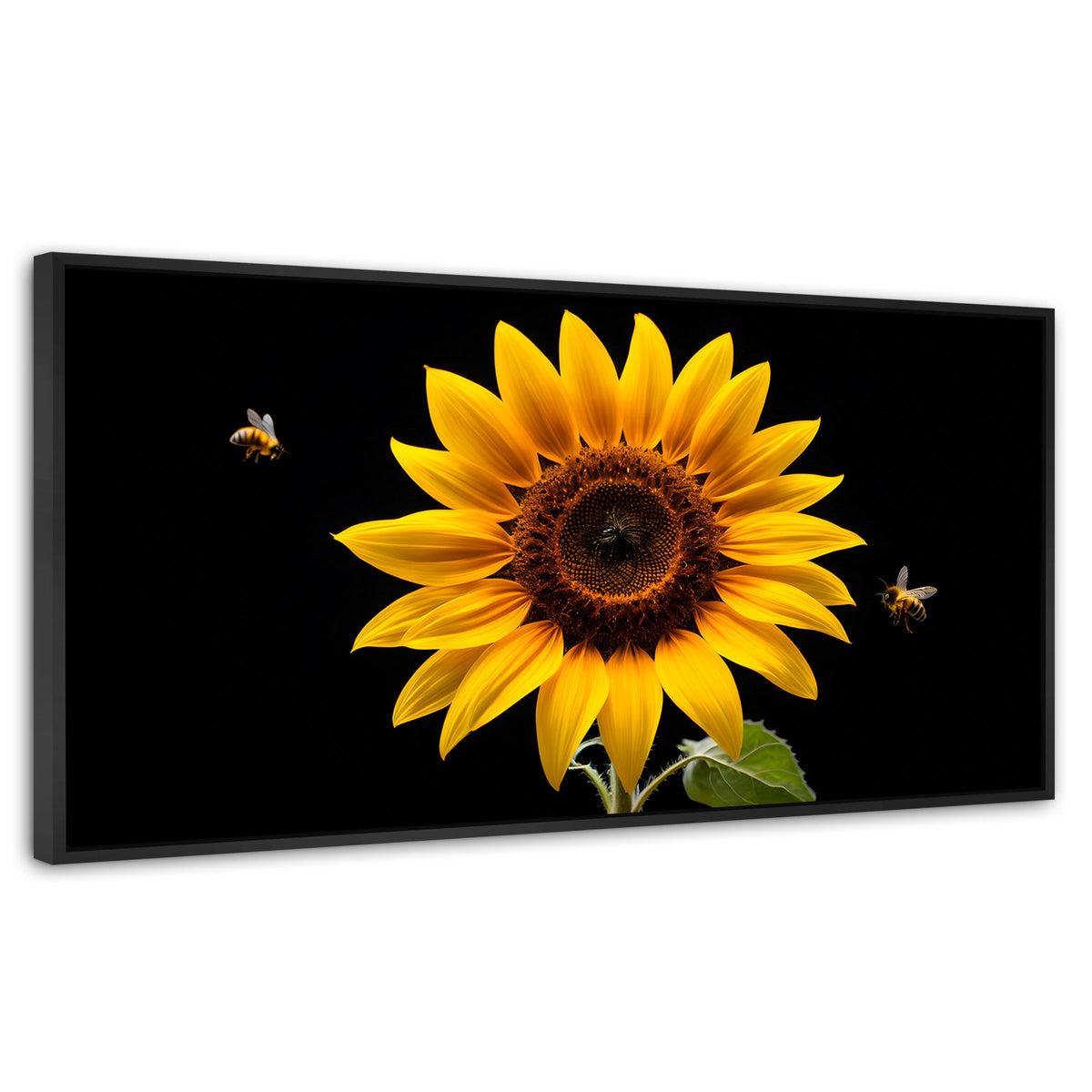 Cuadros Decorativos Canvas Revolution | Girasol En Vuelo | Panoramico | Portada | Marco Negro