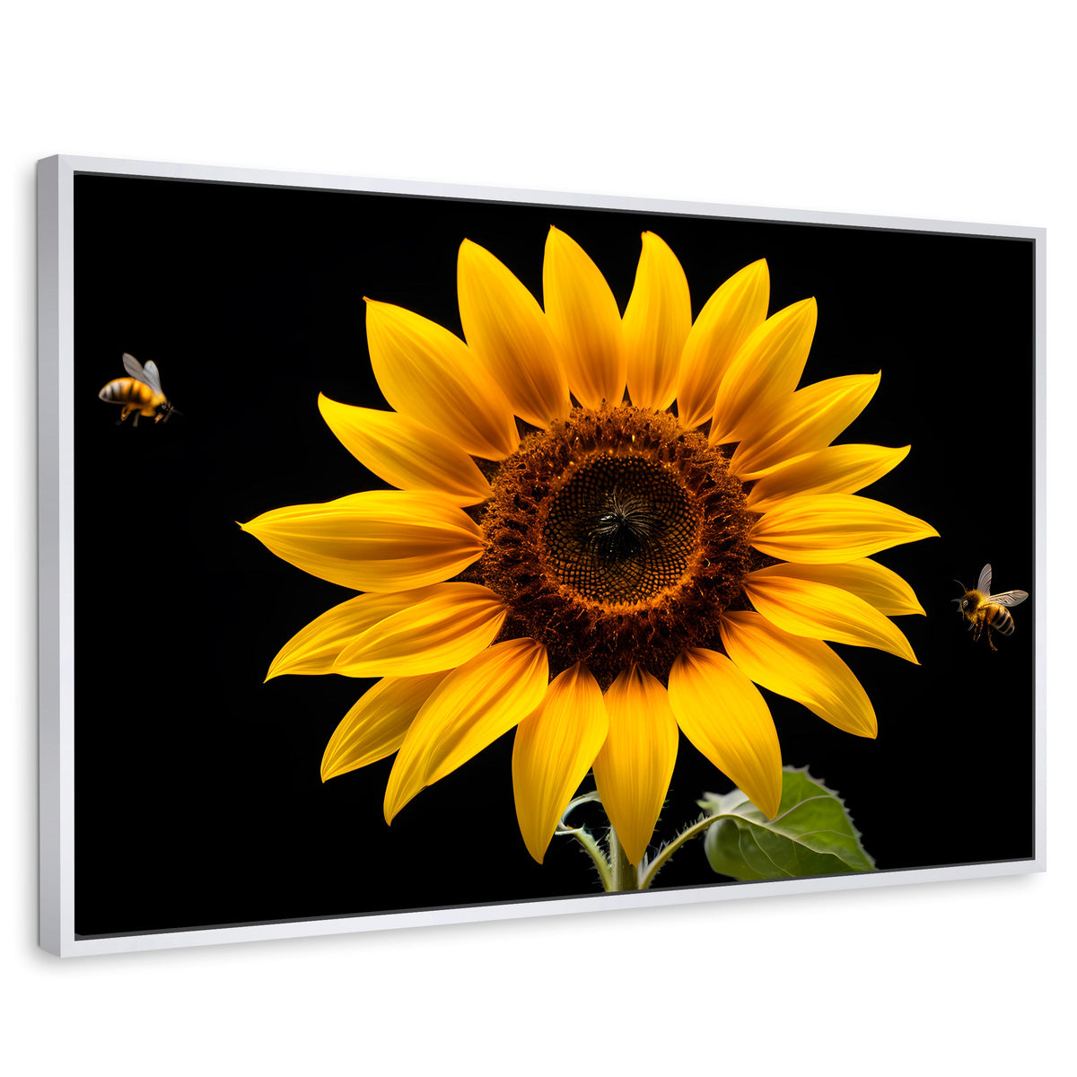 Cuadros Decorativos Canvas Revolution | Girasol En Vuelo | Rectangular | Portada | Marco Blanco