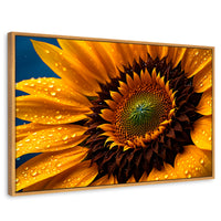 Cuadros Decorativos Canvas Revolution | Girasol Luz Dorada | Rectangular | Portada | Marco Madera