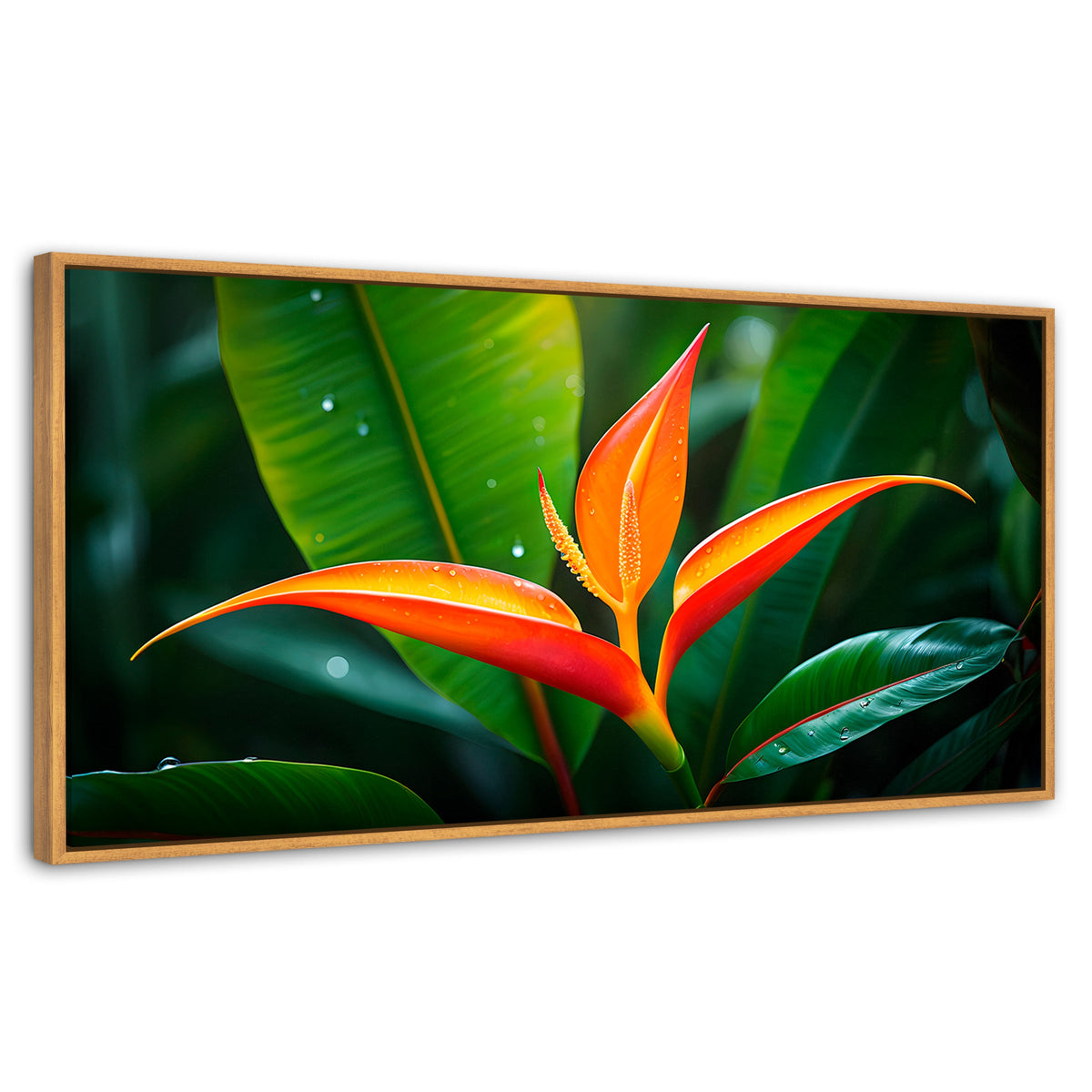 Cuadros Decorativos Canvas Revolution | Heliconia Pura Vida | Panoramico | Portada