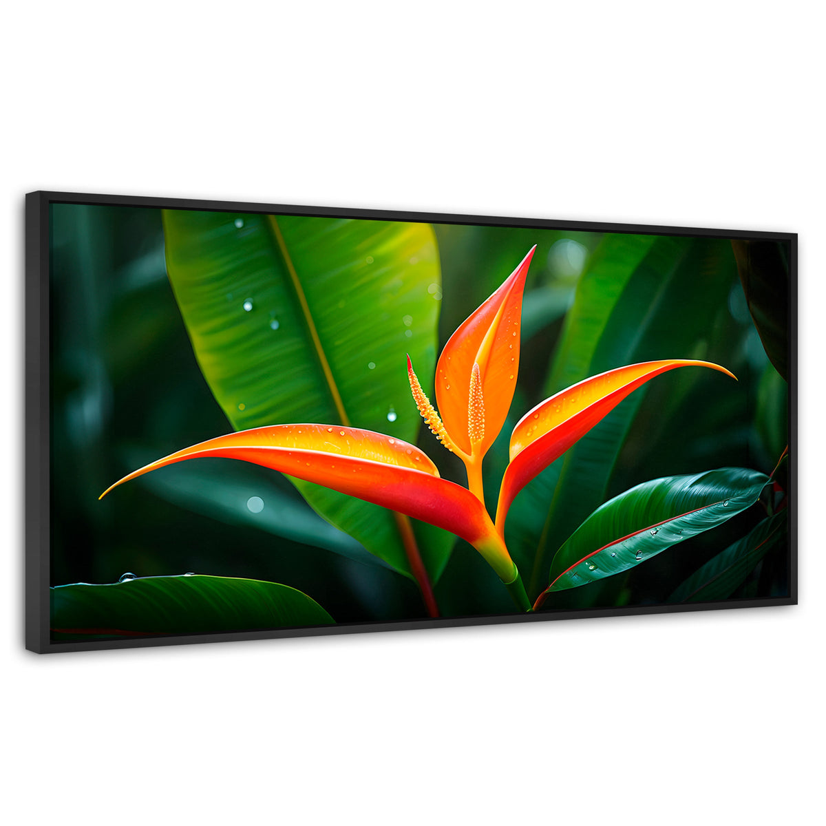 Cuadros Decorativos Canvas Revolution | Heliconia Pura Vida | Panoramico | Portada