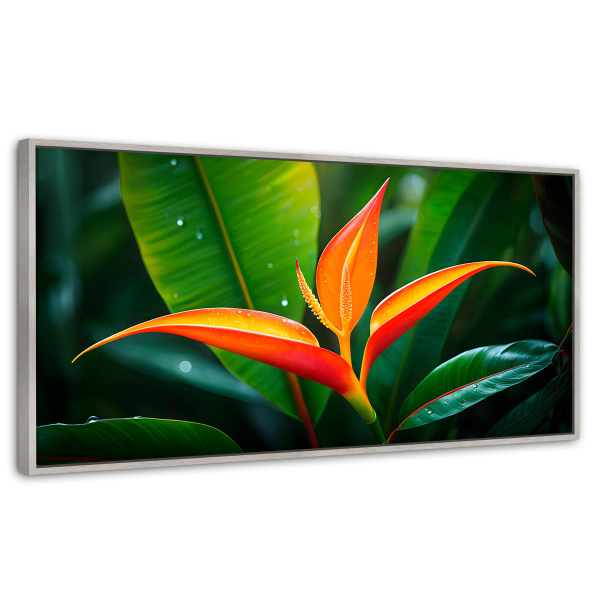 Cuadros Decorativos Canvas Revolution | Heliconia Pura Vida | Panoramico | Portada