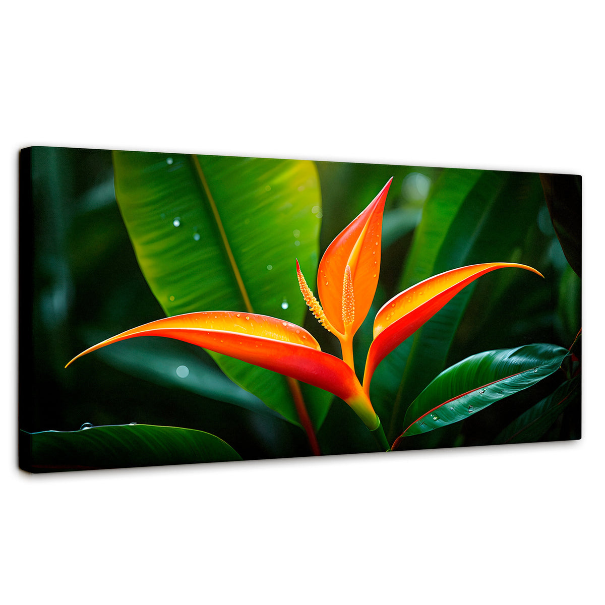 Cuadros Decorativos Canvas Revolution | Heliconia Pura Vida | Panoramico | Portada