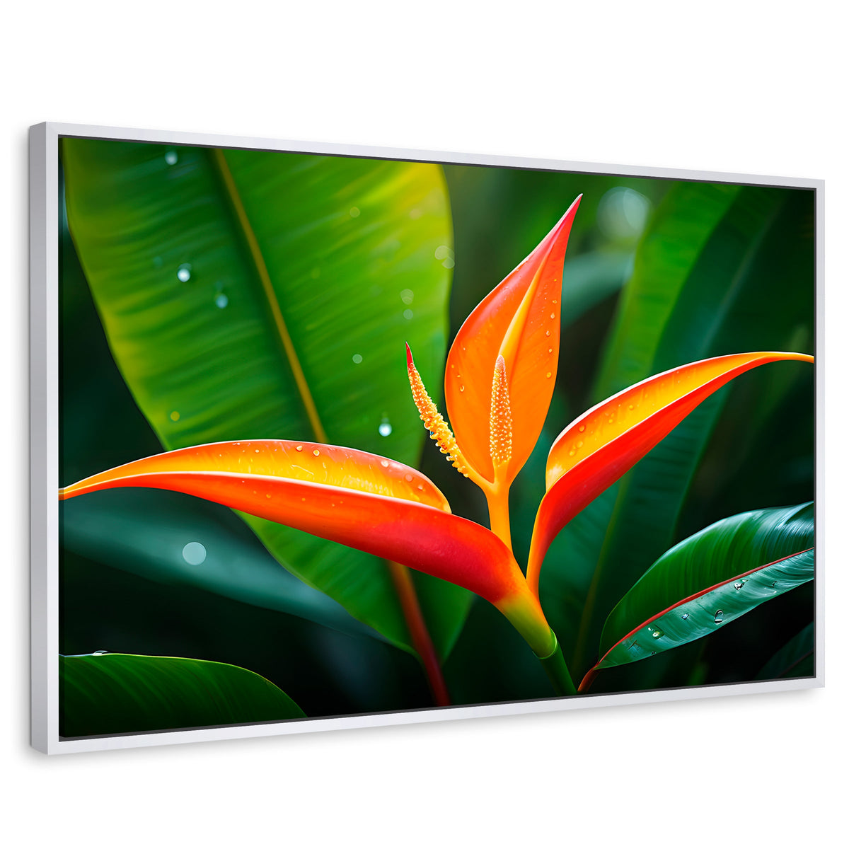 Cuadros Decorativos Canvas Revolution | Heliconia Pura Vida | Rectangular | Portada