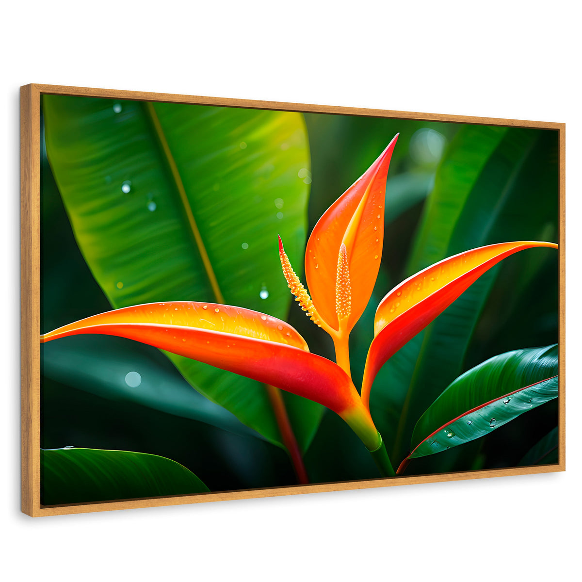 Cuadros Decorativos Canvas Revolution | Heliconia Pura Vida | Rectangular | Portada