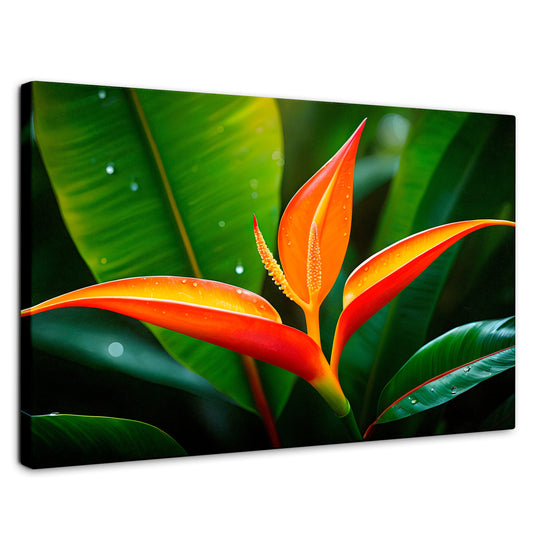Cuadros Decorativos Canvas Revolution | Heliconia Pura Vida | Rectangular | Portada