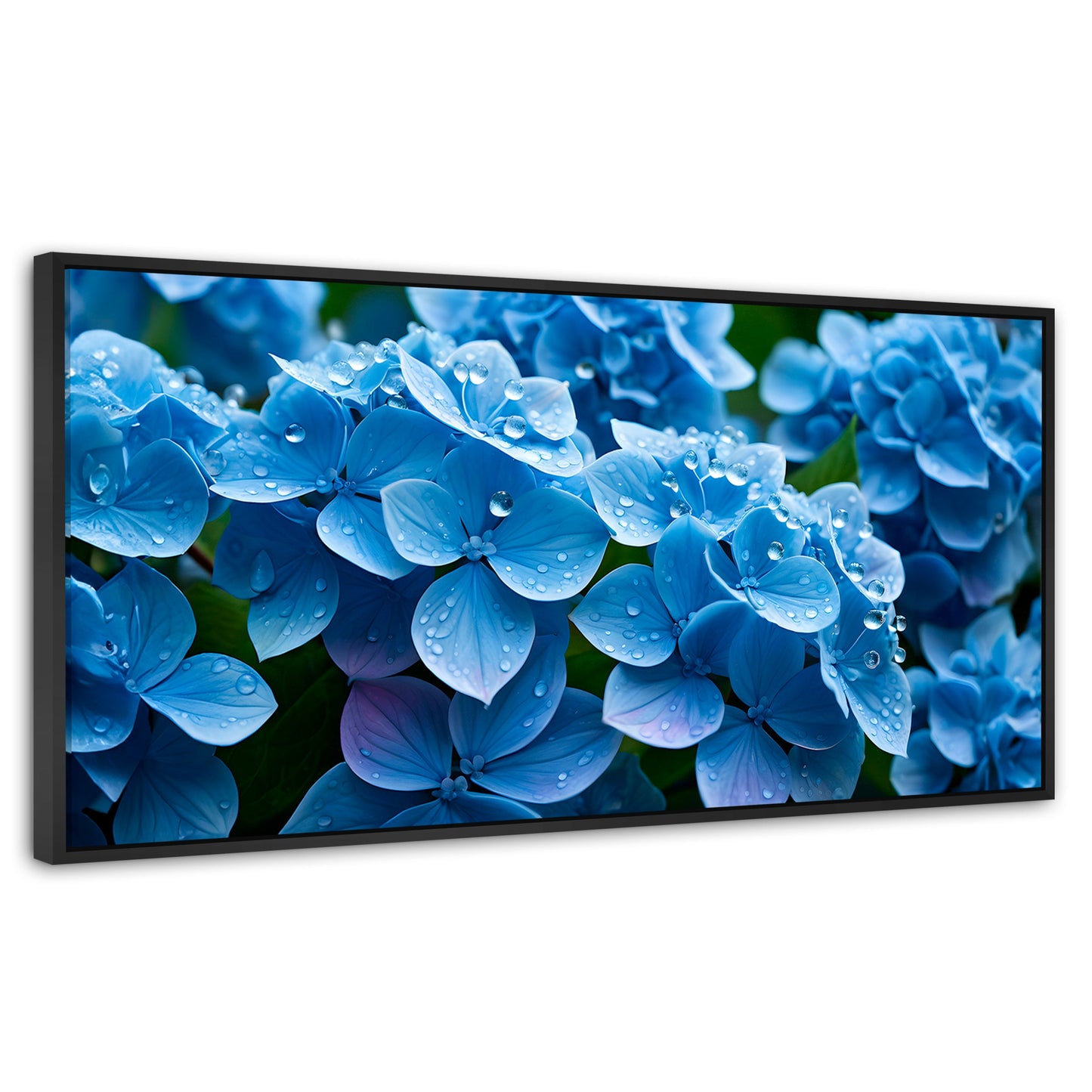 Cuadros Decorativos Canvas Revolution | Hortensia Azulada | Panoramico | Portada | Marco Negro