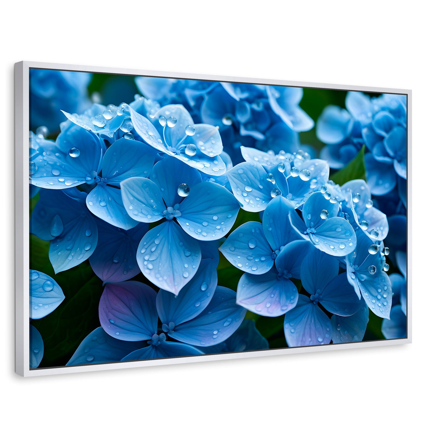 Cuadros Decorativos Canvas Revolution | Hortensia Azulada | Rectangular | Portada | Marco Blanco