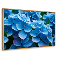 Cuadros Decorativos Canvas Revolution | Hortensia Azulada | Rectangular | Portada | Marco Madera