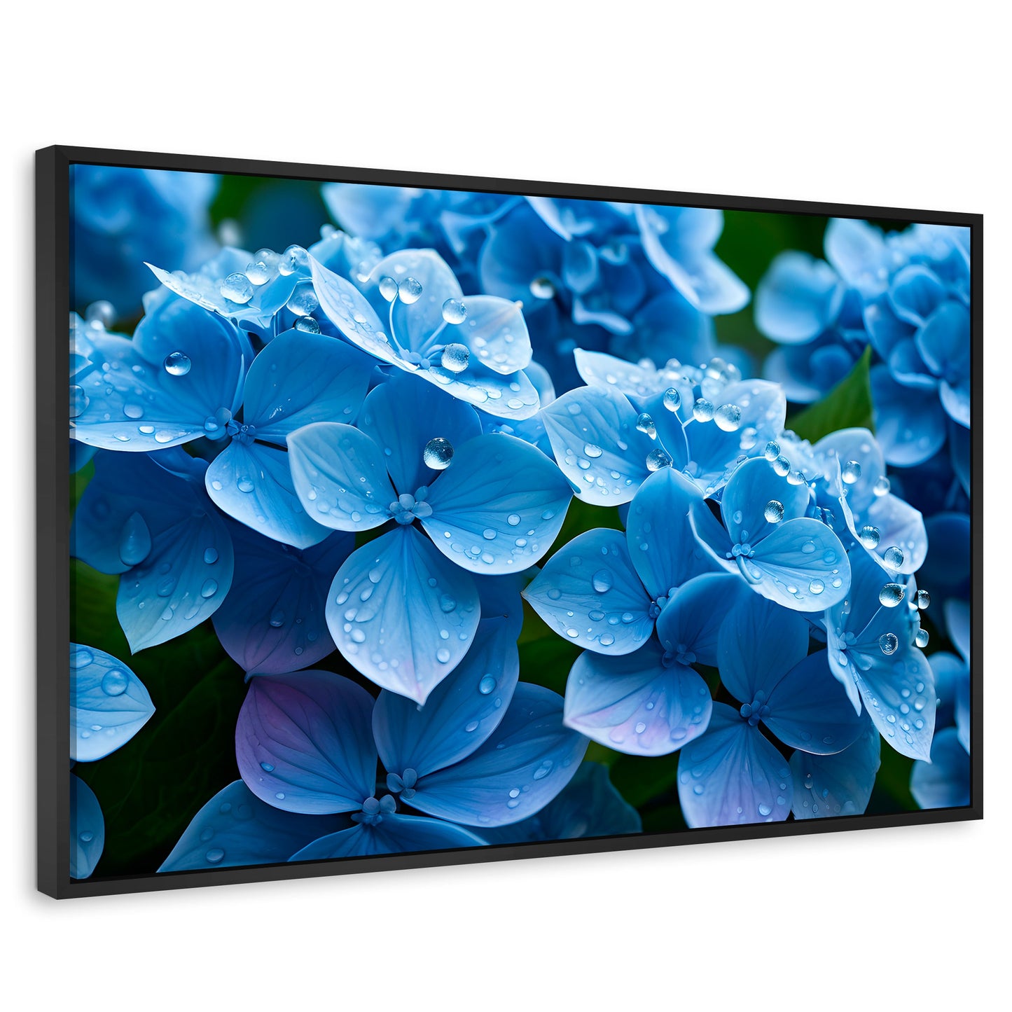 Cuadros Decorativos Canvas Revolution | Hortensia Azulada | Rectangular | Portada | Marco Negro