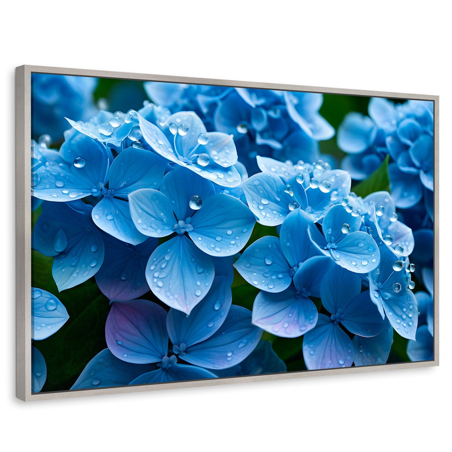 Cuadros Decorativos Canvas Revolution | Hortensia Azulada | Rectangular | Portada | Marco Plateado