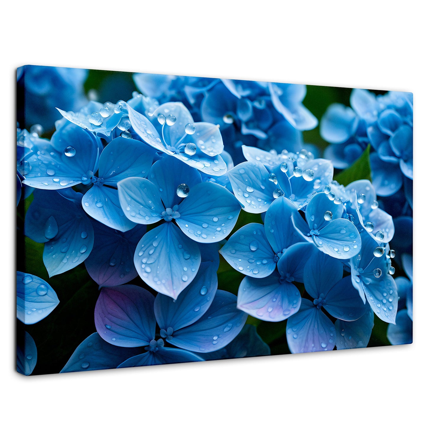 Cuadros Decorativos Canvas Revolution | Hortensia Azulada | Rectangular | Portada | Marco SinMarco