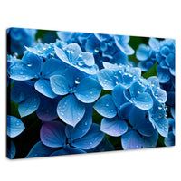 Cuadros Decorativos Canvas Revolution | Hortensia Azulada | Rectangular | Portada | Marco SinMarco