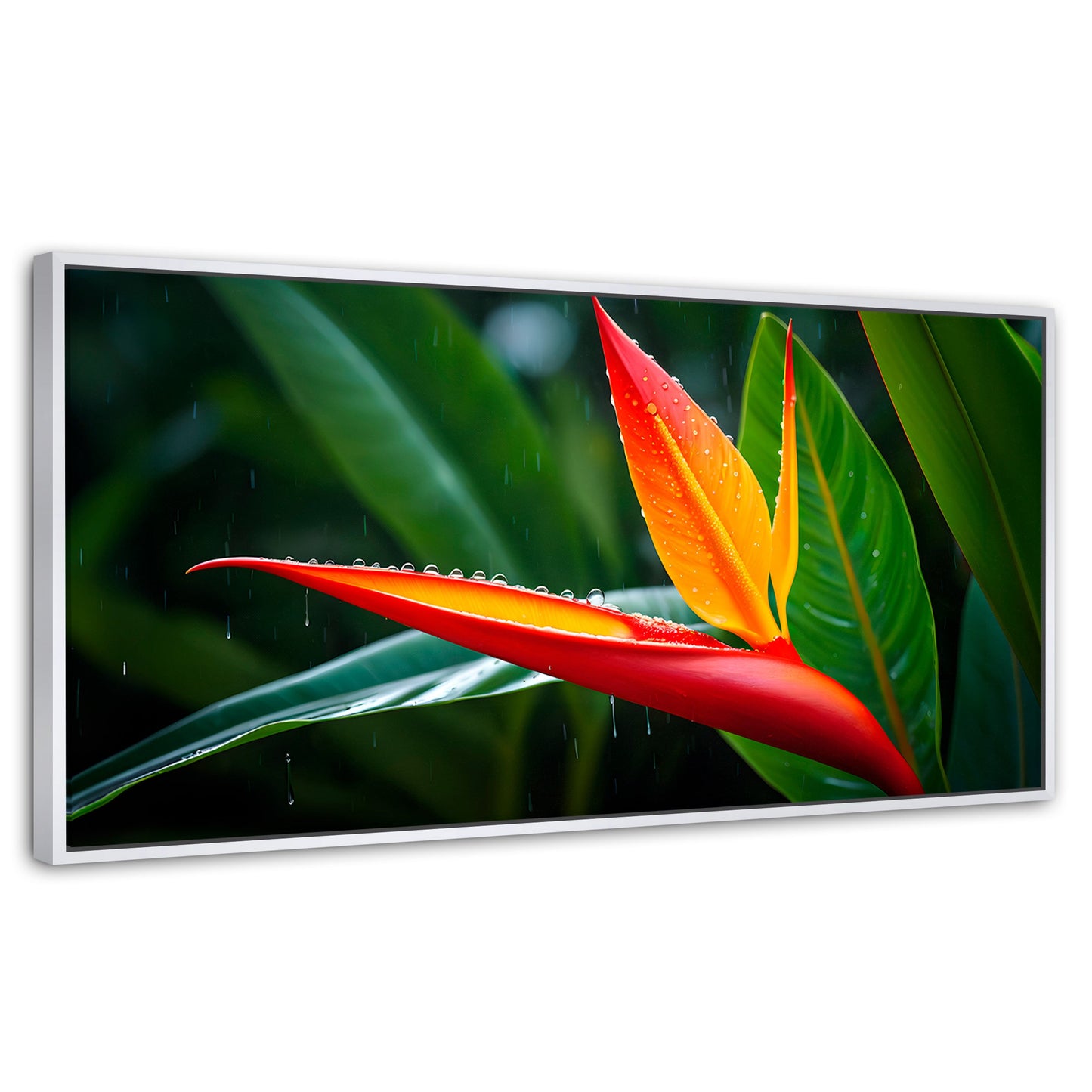 Cuadros Decorativos Canvas Revolution | Llama De Heliconia | Panoramico | Portada | Marco Blanco
