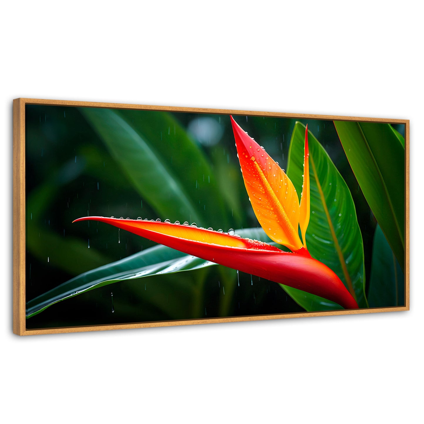 Cuadros Decorativos Canvas Revolution | Llama De Heliconia | Panoramico | Portada | Marco Madera