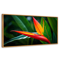 Cuadros Decorativos Canvas Revolution | Llama De Heliconia | Panoramico | Portada | Marco Madera