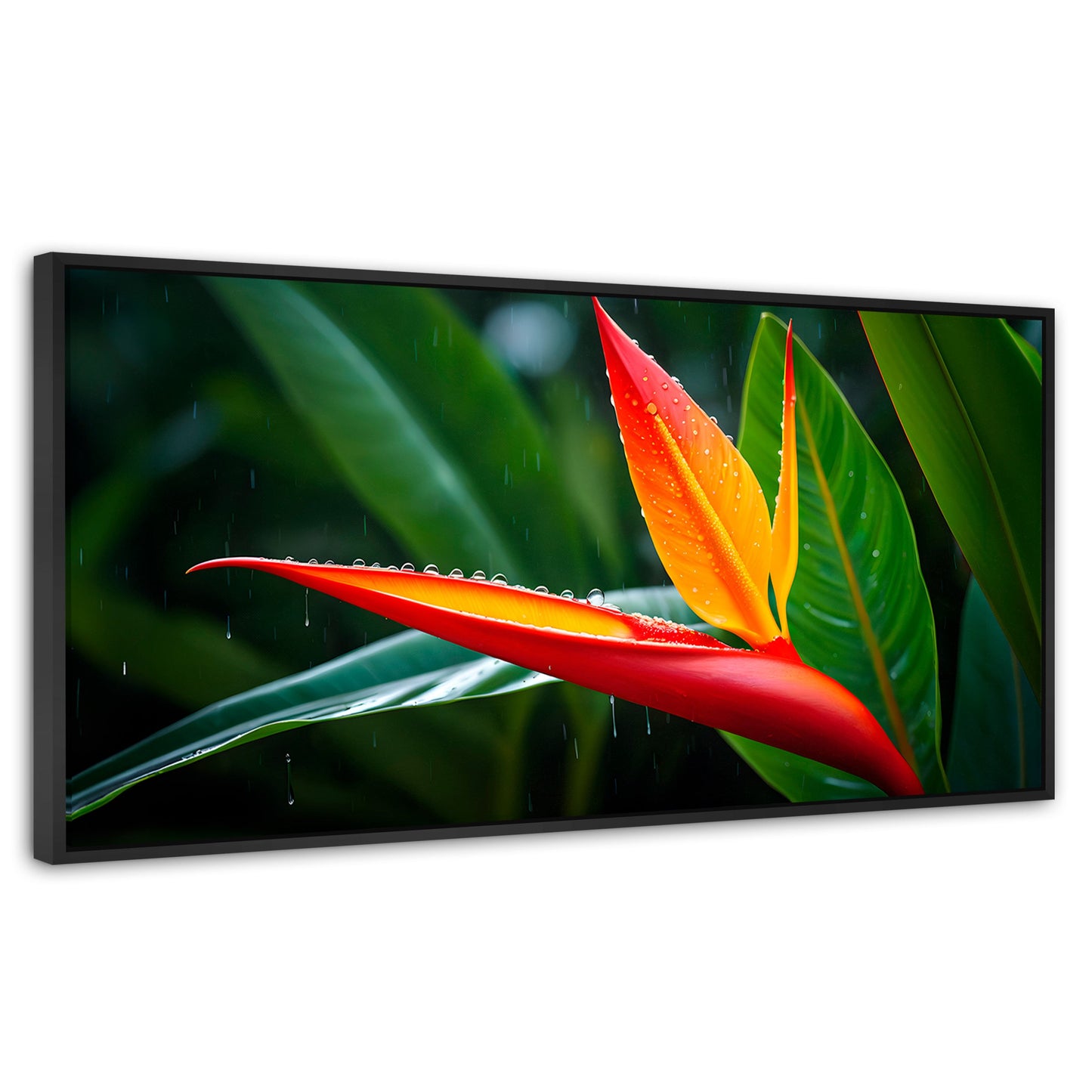 Cuadros Decorativos Canvas Revolution | Llama De Heliconia | Panoramico | Portada | Marco Negro
