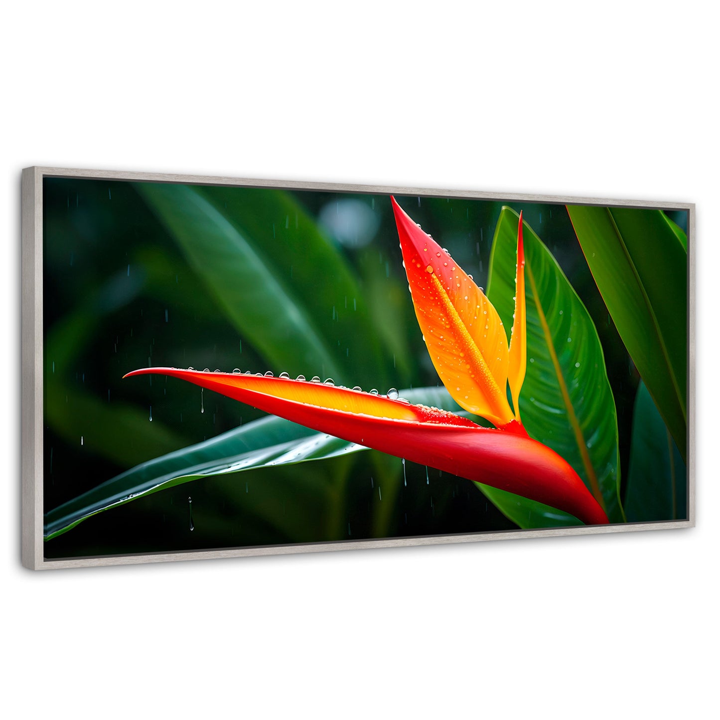 Cuadros Decorativos Canvas Revolution | Llama De Heliconia | Panoramico | Portada | Marco Plateado