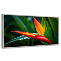 Cuadros Decorativos Canvas Revolution | Llama De Heliconia | Panoramico | Portada | Marco Plateado