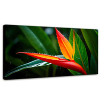 Cuadros Decorativos Canvas Revolution | Llama De Heliconia | Panoramico | Portada | Marco SinMarco