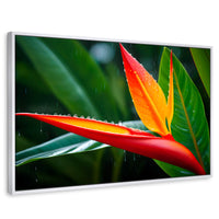 Cuadros Decorativos Canvas Revolution | Llama De Heliconia | Rectangular | Portada | Marco Blanco