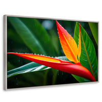 Cuadros Decorativos Canvas Revolution | Llama De Heliconia | Rectangular | Portada | Marco Plateado