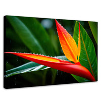 Cuadros Decorativos Canvas Revolution | Llama De Heliconia | Rectangular | Portada | Marco SinMarco
