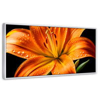 Cuadros Decorativos Canvas Revolution | Llama Lirio Macro | Panoramico | Portada | Marco Blanco