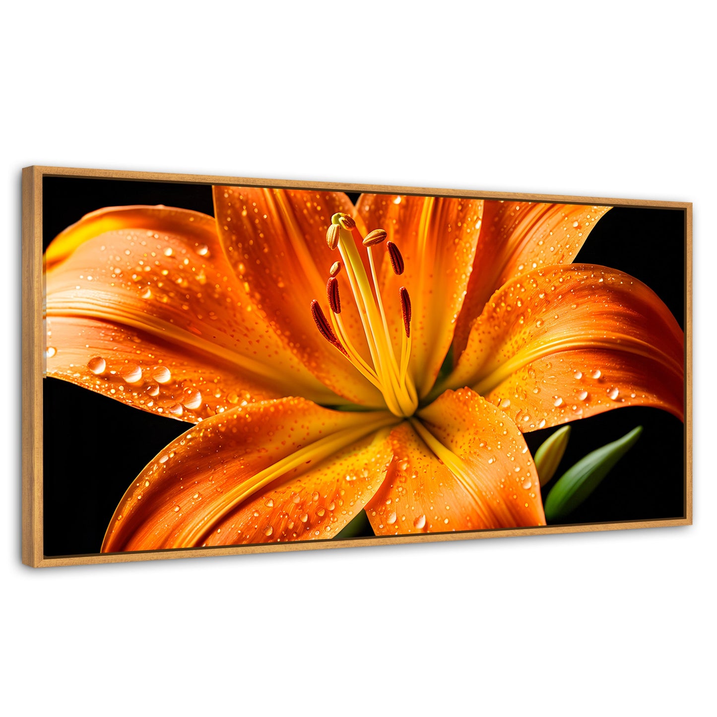 Cuadros Decorativos Canvas Revolution | Llama Lirio Macro | Panoramico | Portada | Marco Madera