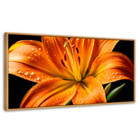Cuadros Decorativos Canvas Revolution | Llama Lirio Macro | Panoramico | Portada | Marco Madera