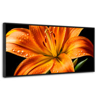 Cuadros Decorativos Canvas Revolution | Llama Lirio Macro | Panoramico | Portada | Marco Negro