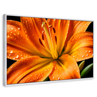Cuadros Decorativos Canvas Revolution | Llama Lirio Macro | Rectangular | Portada | Marco Blanco