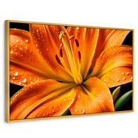 Cuadros Decorativos Canvas Revolution | Llama Lirio Macro | Rectangular | Portada | Marco Dorado