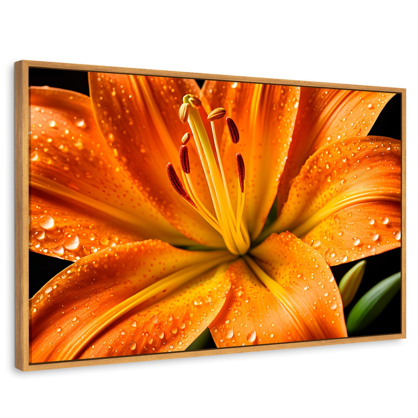 Cuadros Decorativos Canvas Revolution | Llama Lirio Macro | Rectangular | Portada | Marco Madera