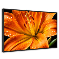 Cuadros Decorativos Canvas Revolution | Llama Lirio Macro | Rectangular | Portada | Marco Negro