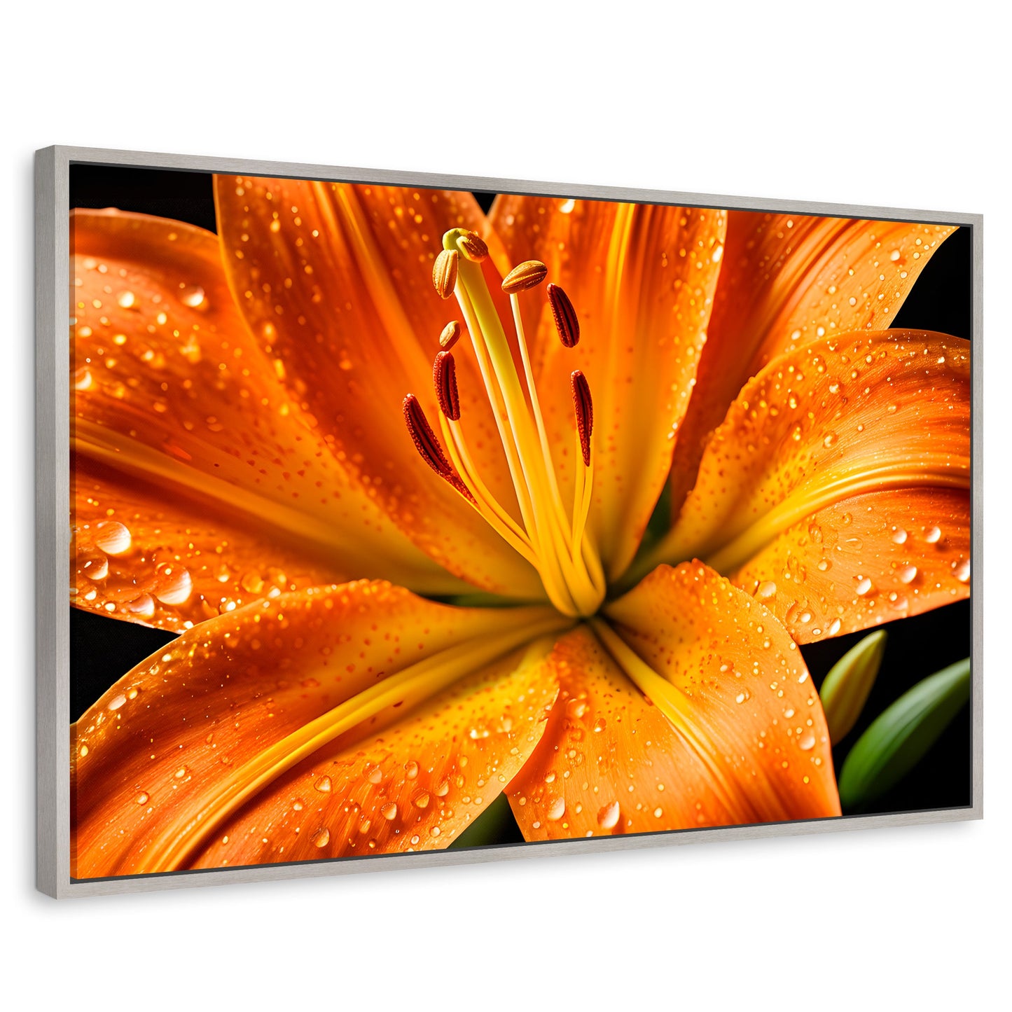 Cuadros Decorativos Canvas Revolution | Llama Lirio Macro | Rectangular | Portada | Marco Plateado