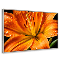 Cuadros Decorativos Canvas Revolution | Llama Lirio Macro | Rectangular | Portada | Marco Plateado