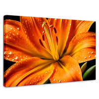 Cuadros Decorativos Canvas Revolution | Llama Lirio Macro | Rectangular | Portada | Marco SinMarco