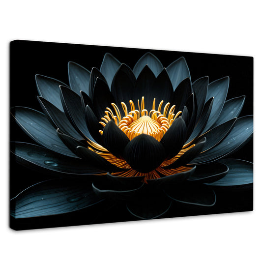 Cuadros Decorativos Canvas Revolution | Loto En Sombra | Rectangular | Portada | Marco SinMarco