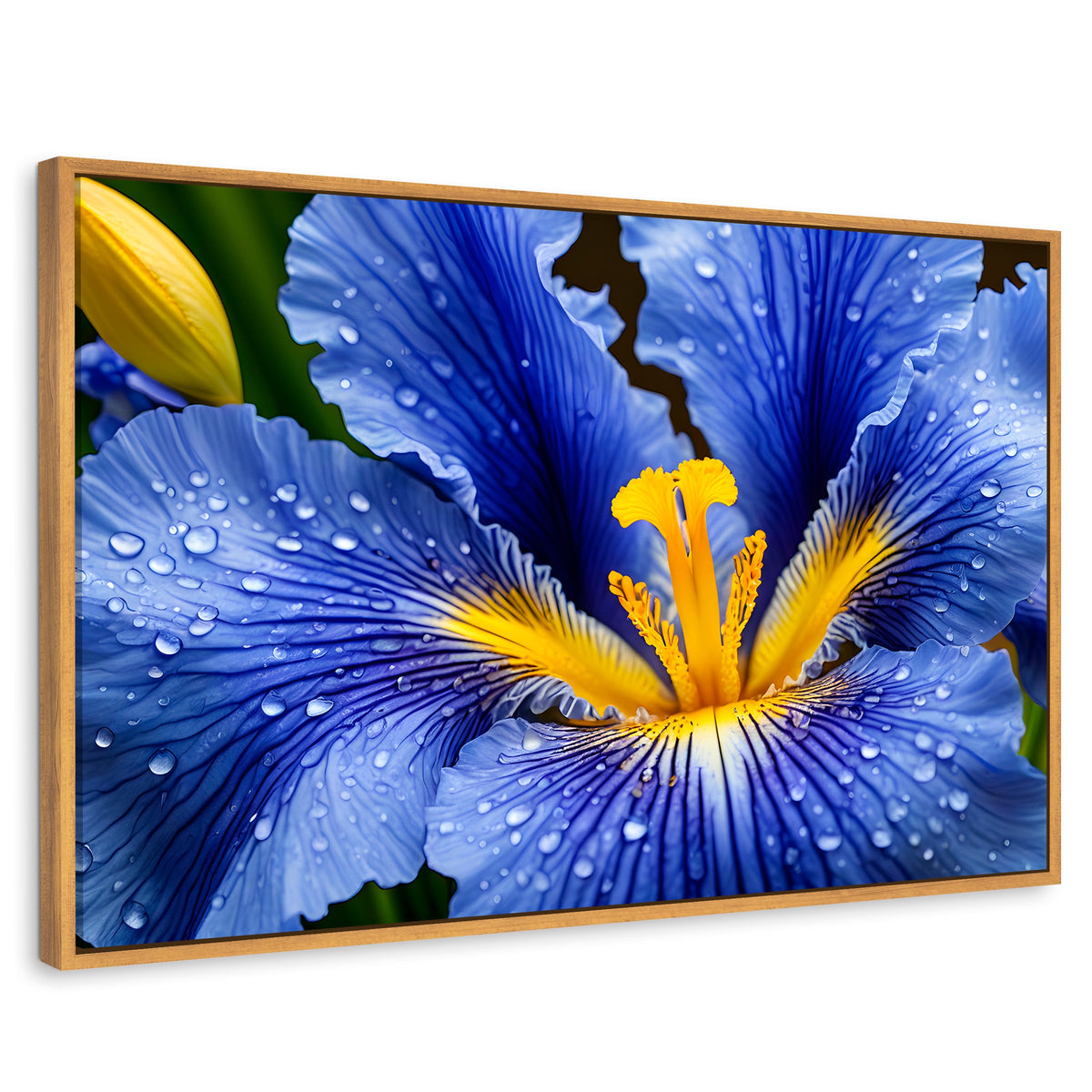 Cuadros Decorativos Canvas Revolution | Magia Flor Iris | Rectangular | Portada | Marco Madera