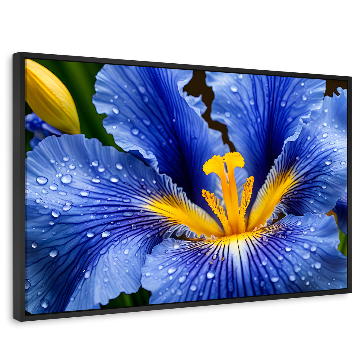 Cuadros Decorativos Canvas Revolution | Magia Flor Iris | Rectangular | Portada | Marco Negro
