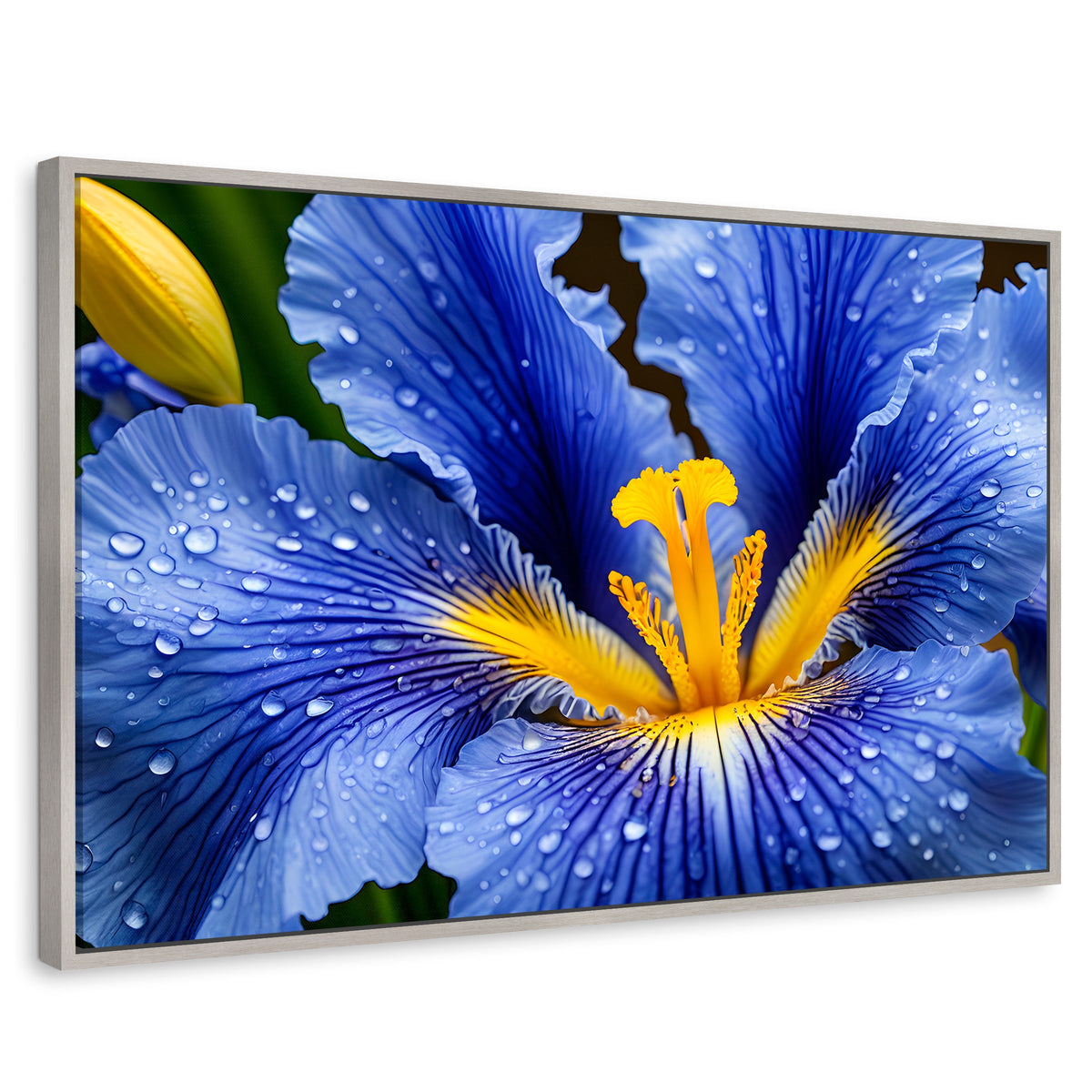 Cuadros Decorativos Canvas Revolution | Magia Flor Iris | Rectangular | Portada | Marco Plateado