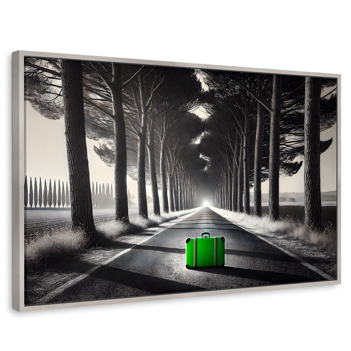 Cuadros Decorativos Canvas Revolution | Maleta Solitaria | Rectangular | Portada | Marco Plateado