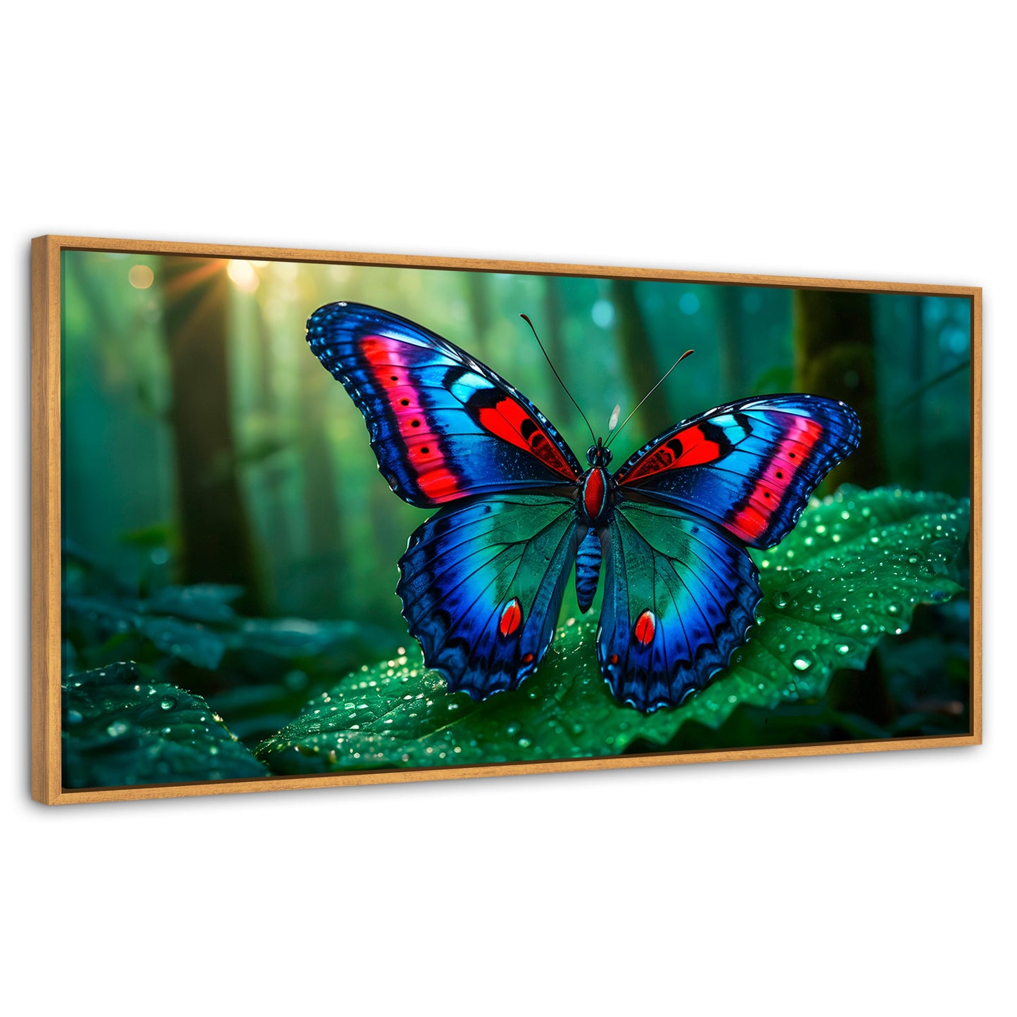Cuadros Decorativos Canvas Revolution | Mariposa De Selva | Panoramico | Portada | Marco Negro