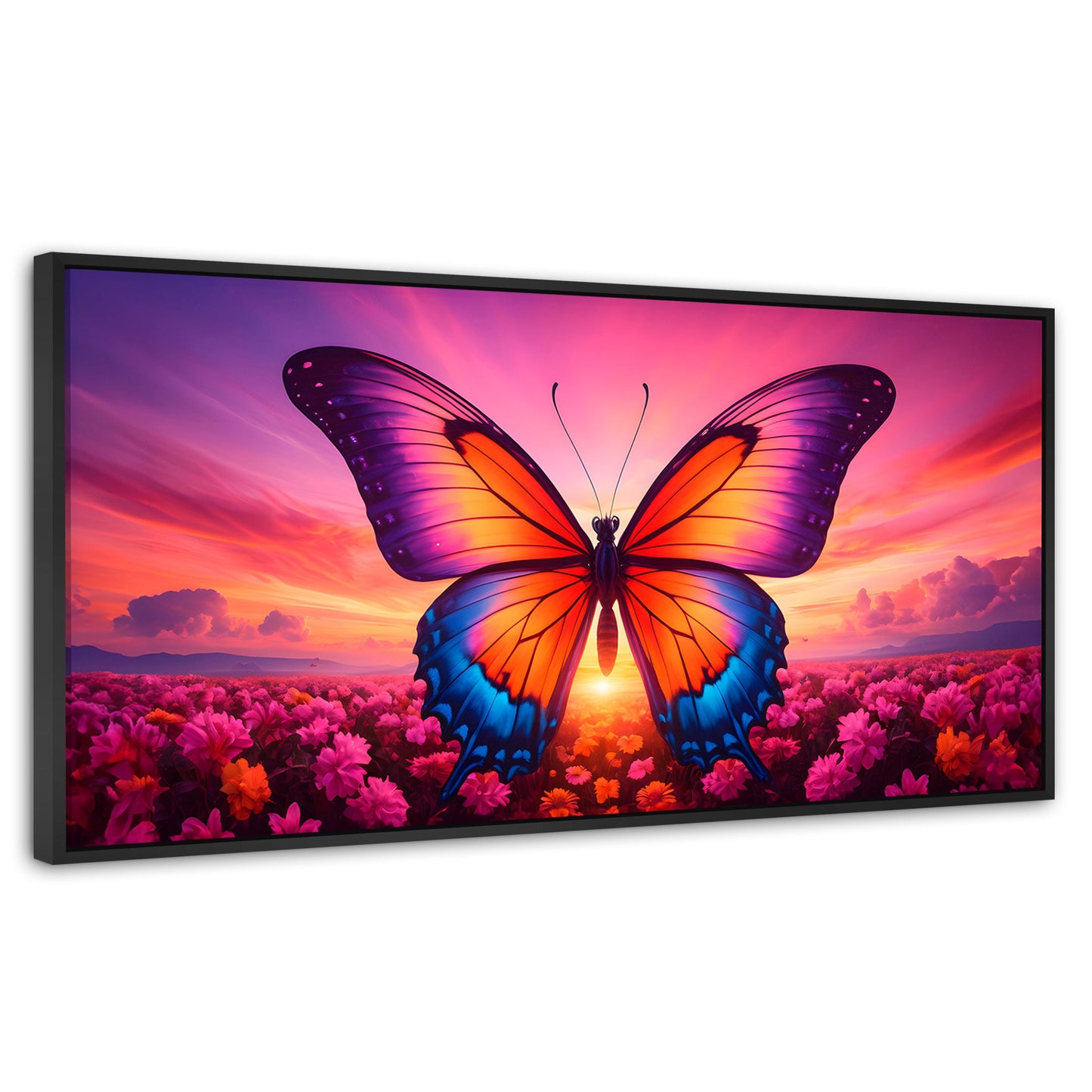 Cuadros Decorativos Canvas Revolution | Mariposa En El Alba | Panoramico | Portada | Marco Plateado