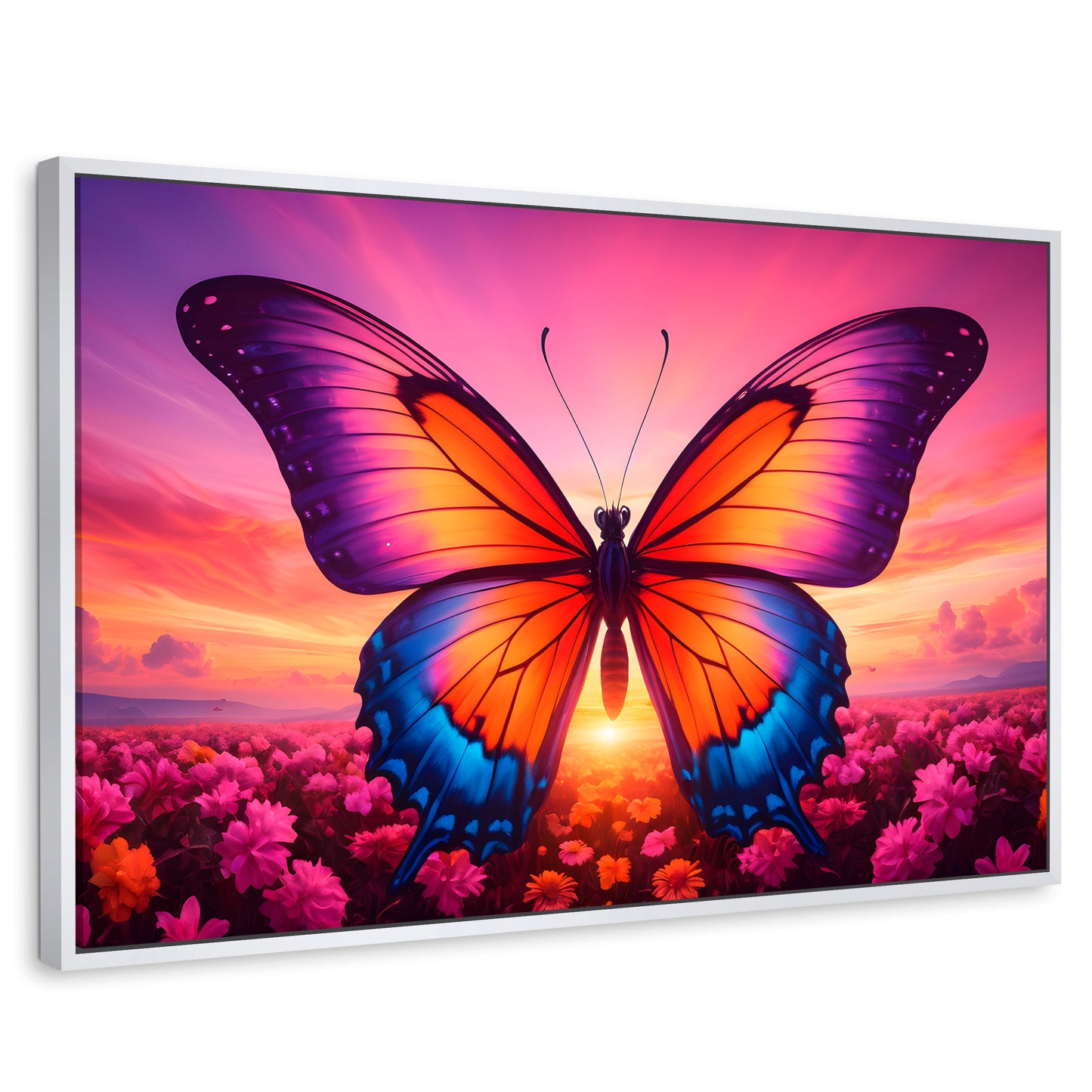 Cuadros Decorativos Canvas Revolution | Mariposa En El Alba | Rectangular | Portada | Marco Blanco